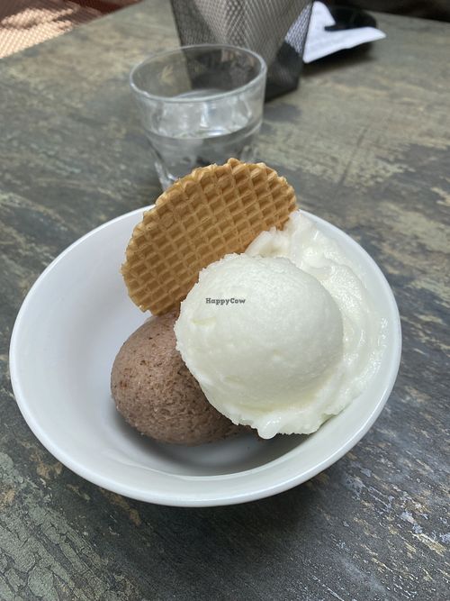   at Glacier Arelatis in Arles