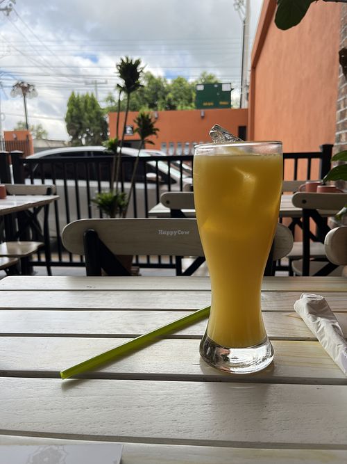   at Terra Suculenta Brunch in San Luis Potosi