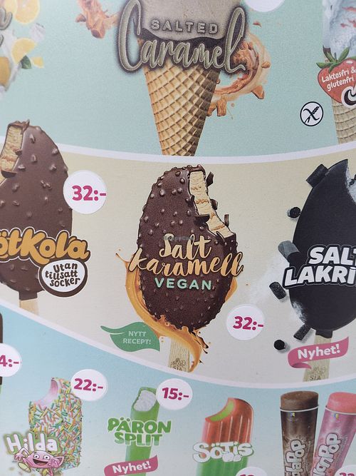 Vegan salt caramel soft ice at Tännforsens Turiststation - Summer Shop  in Duved