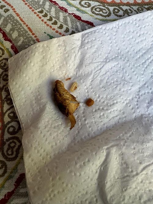  at Chipotle in Monona