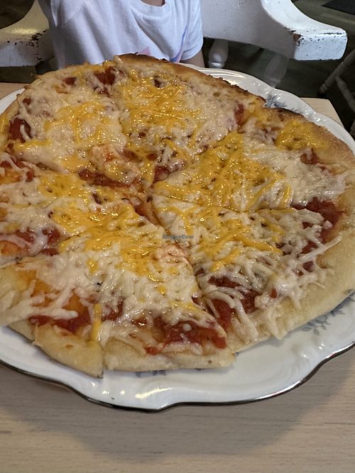 Vegan cheese pizza for the kiddos  at The Red Fern in Rochester