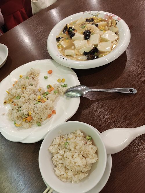 Fried rice and tofu dish at Vegetarian Konan - Nihonbashi - 素食 江南 大阪日本橋店 in Osaka