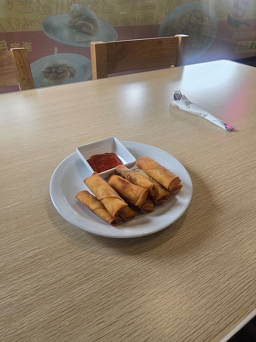 Vegan springrolls at WOKIE BOX in Sheffield
