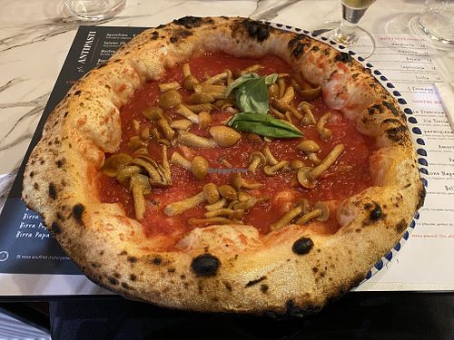   at Maccione in Liege