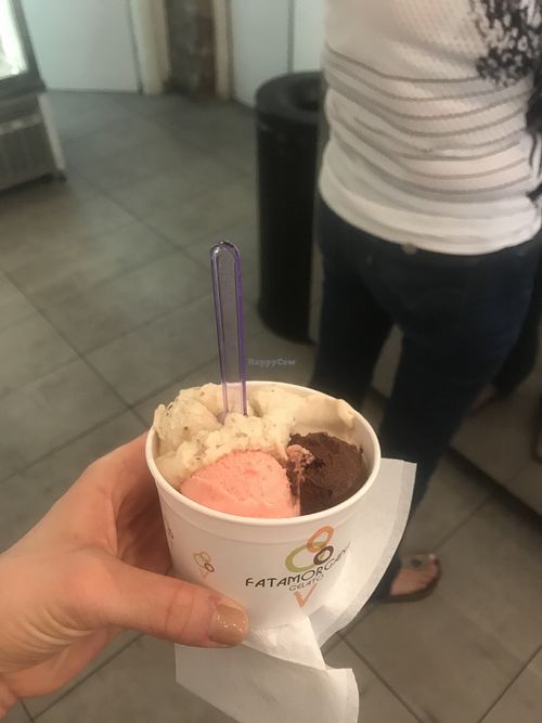 Vegan options at Fatamorgana Gelato in Rome
