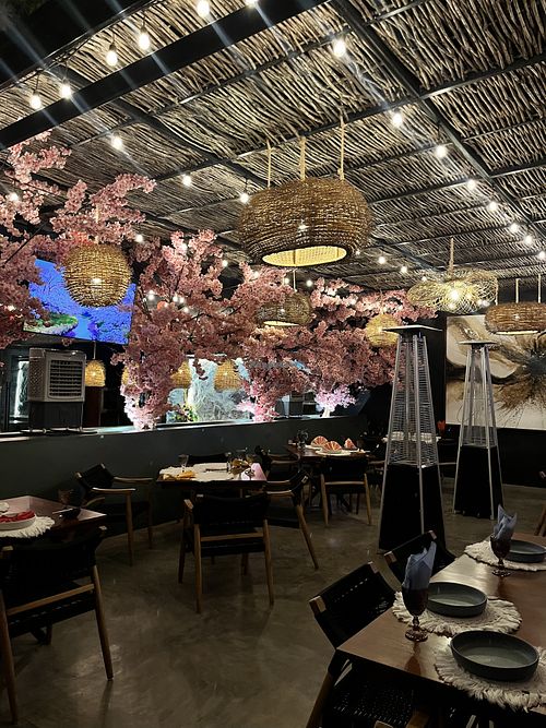 Muy lindo   at Tei Sushi in San Jose Del Cabo