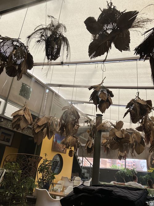   at MY Kechmara in Marrakech