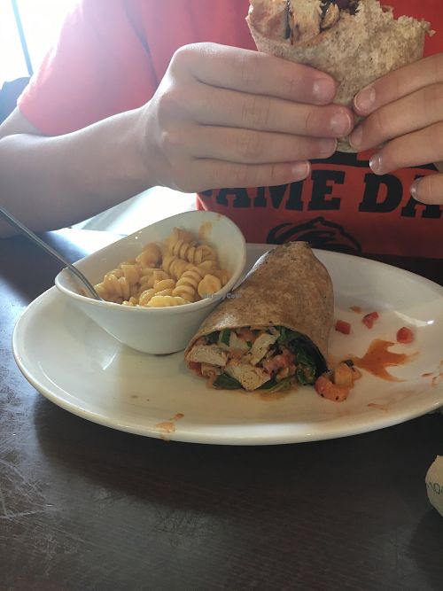 wrap at Native Foods in Glendale