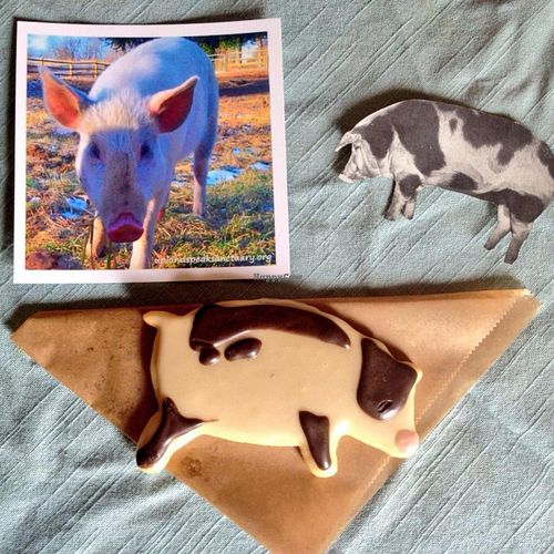 They did a fundraiser for Uplands PEAK Farmed Animal Sanctuary in Salem, Indiana!  at Rainbow Bakery in Bloomington