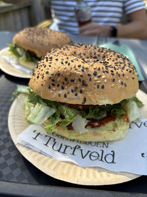 Vegan bietenburger en vegan chiliburger  at Bospaviljoen Het Turfveld in Den Burg