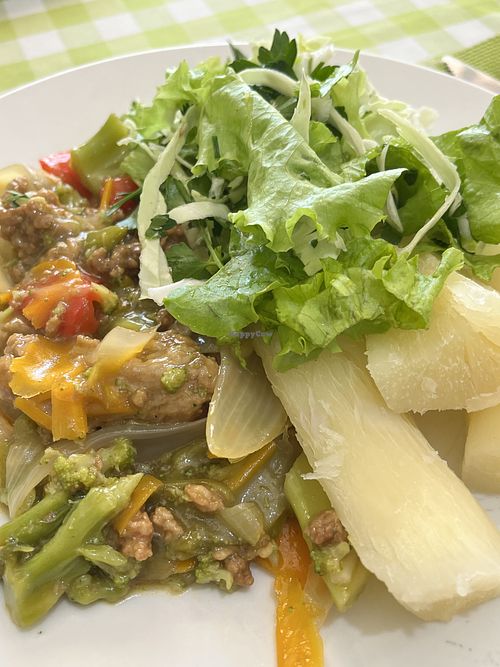 Vegan meat and veggies, mandioca, salad   at KomerSano in Ciudad Del Este