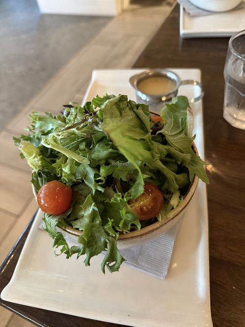 Field greens w/o chz   at DISNEYLAND - Great Maple in Anaheim