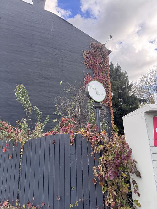 Eye   at WegeMonia in Krakow