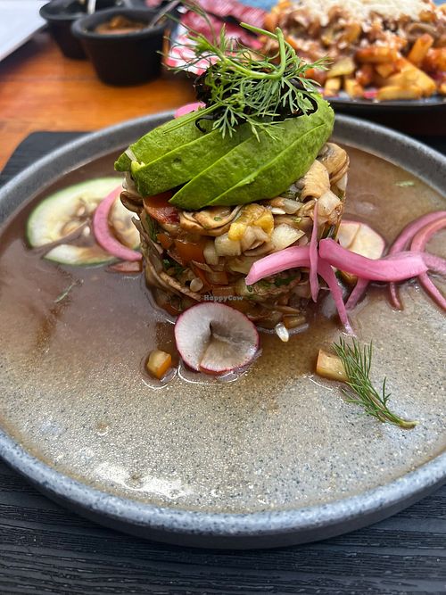 Mushroom ceviche   at María Cocina Urbana in Guanajuato