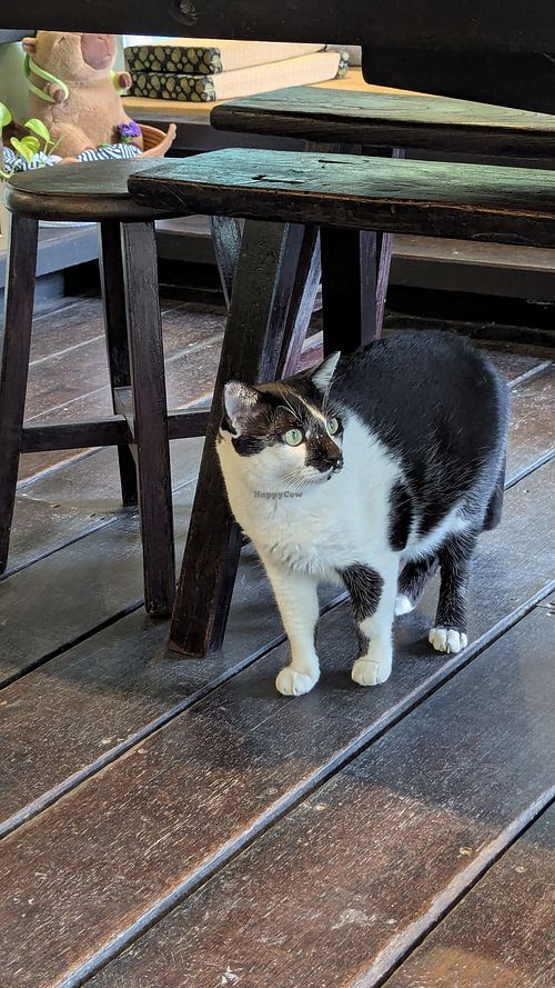 at WhoTogether 胡同飲集聚場 in Taichung