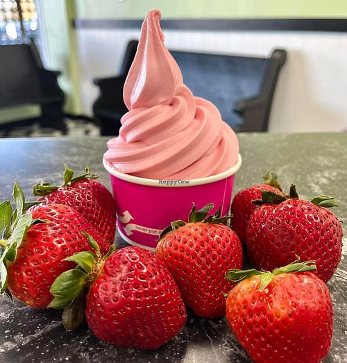  at Swirls in Frederick