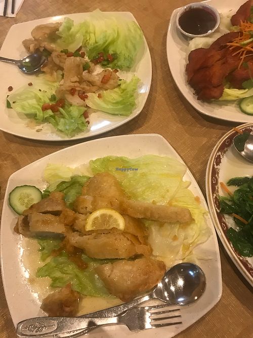 Vegie Bowl Forest Hill Victoria Restaurant HappyCow