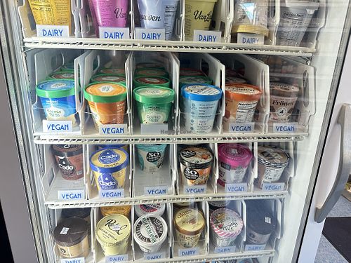 Clear distinctions between vegan and dairy ice creams  at Guru Health Food Store in Jamaica