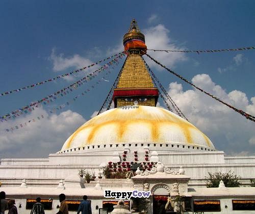 Boudhanath Stupa at Happiness Vegetarian in Kathmandu