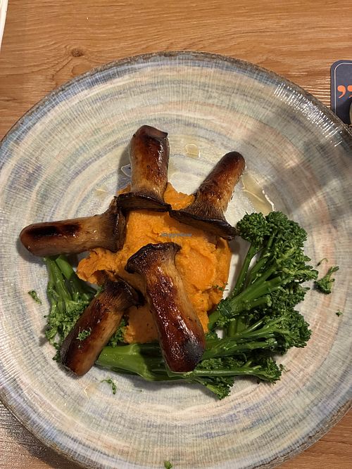   at Restaurant Sealords in Baltrum