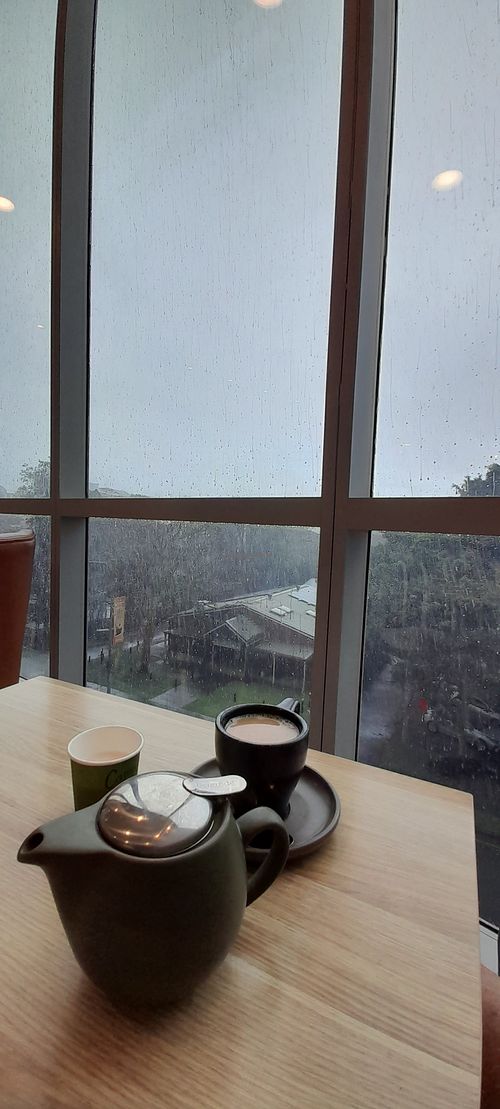 Bit rainy today but big windows and trees outside at Table 26 - Indooroopilly in Indooroopilly