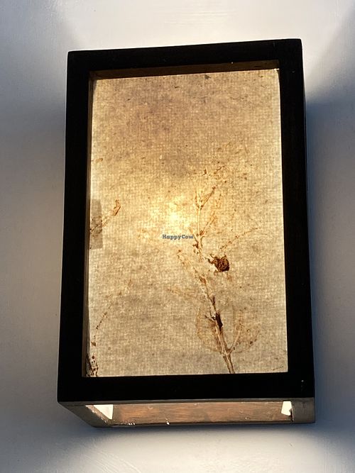   at Goyo - கோயோ in Auroville