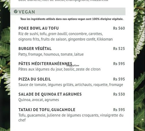 Vegan dishes on the menu (06/2026) at La Terrasse in Mapou