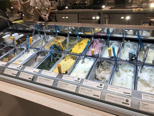   at Gelateria DODO in Suwon