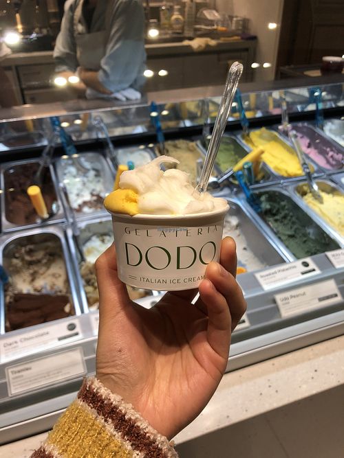   at Gelateria DODO in Suwon
