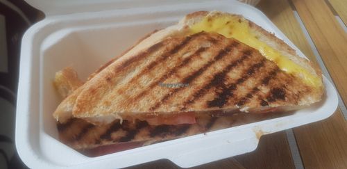 vegan cheese toastie at Anyone Coffee  in Newcastle Upon Tyne