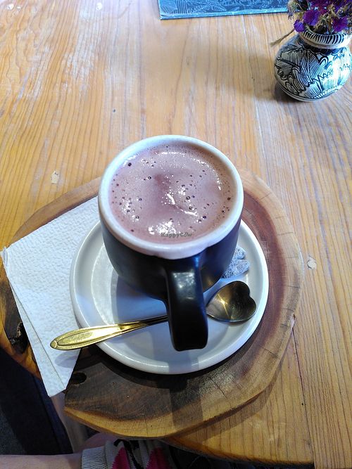 Hot chocolates at Jangala: Cacao y Selva  in San Cristobal De Las Casas