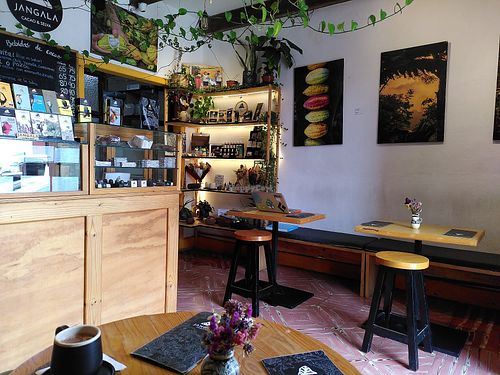 Space at Jangala: Cacao y Selva  in San Cristobal De Las Casas