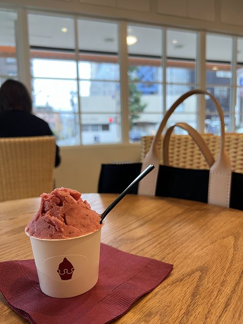 Apple-raspberry gelato  at Herve Gelato in Fukuoka