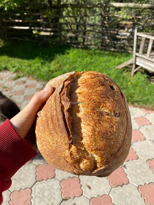  at Ootelie Bakery in Dilijan