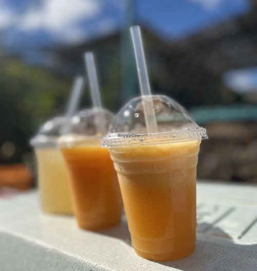 This week's special drinks are: local Satsuma mandarin smoothie, local persimmon smoothie, and organic honey lemonade!  at KUMANO POWER HONGU in Tanabe