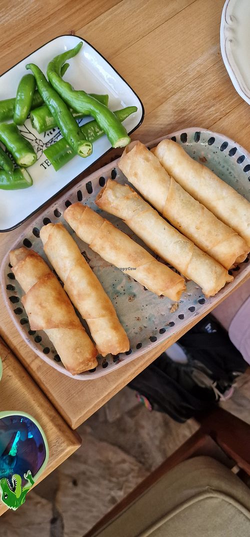 Potato borek at Cafe Inn in Mugla
