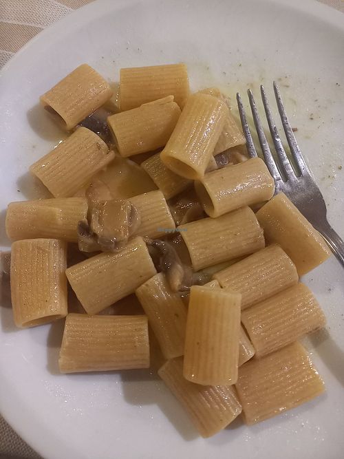 Penne with mushroom at Il Picchio Verde in Gubbio