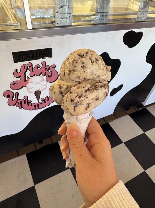 vanilla oat chip (sugar cone)   at Licks Unlimited in Excelsior