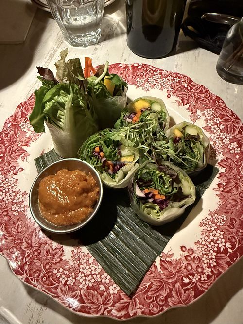 Mango summer roll   at Suwun Thai Home Cooking in Albany