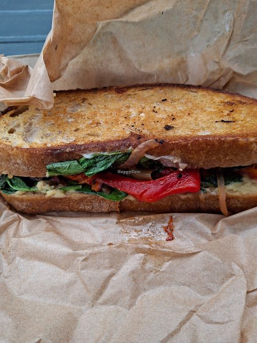 Panini at Little Local in Esperance