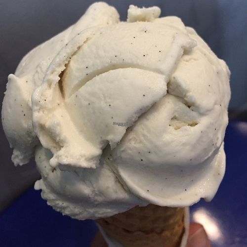 vanilla cone at Gelato Blue in Newtown