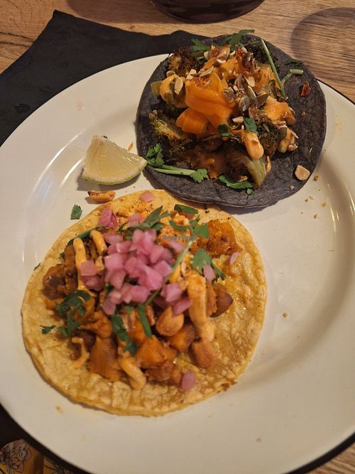  at Nopal in Vlissingen