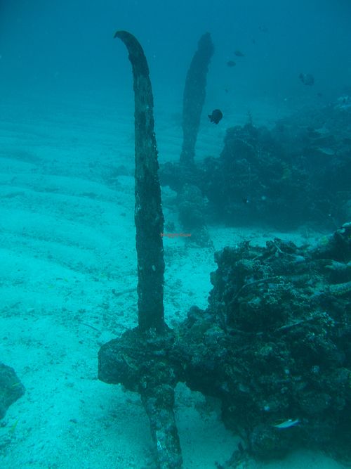  at Nusa Island Retreat in Kavieng