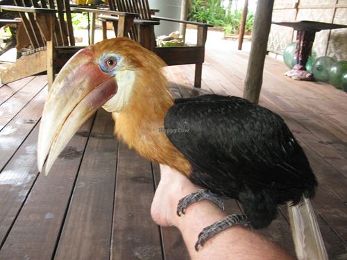  at Nusa Island Retreat in Kavieng