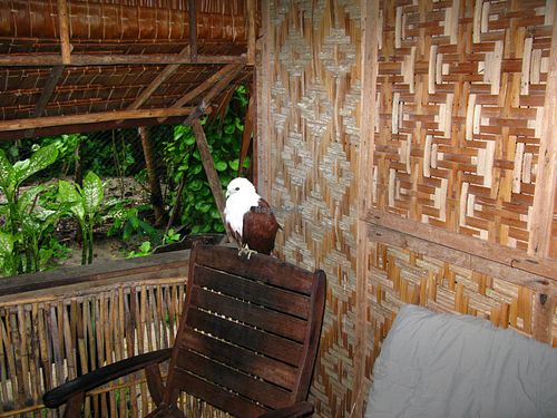  at Nusa Island Retreat in Kavieng