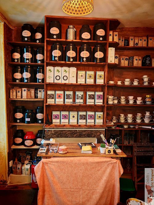 Large choice of teas at Mimosa in Poitiers