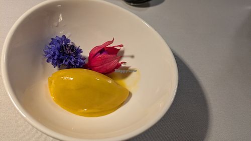 Mango & passionfruit sorbet at Rhubarb Restaurant in Skipton