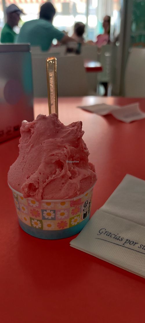 Strawberry vegan ice cream at La Heladería de Benajarafe in Benajarafe