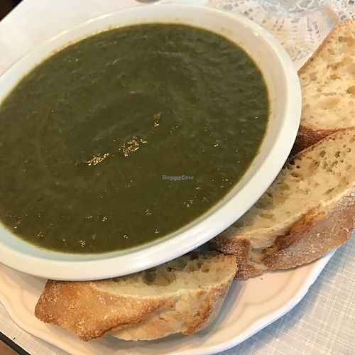 spinach soup at Cafe Hibiskus in Cologne