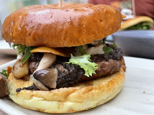 Hamburguesa vegana  at Restaurante Atalaya in Torla-ordesa